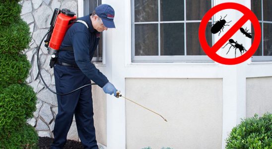Doğanşehir Karınca İlaçlama böcek ilaçlama ve haşere kontrolü — ilaclama-tr.com